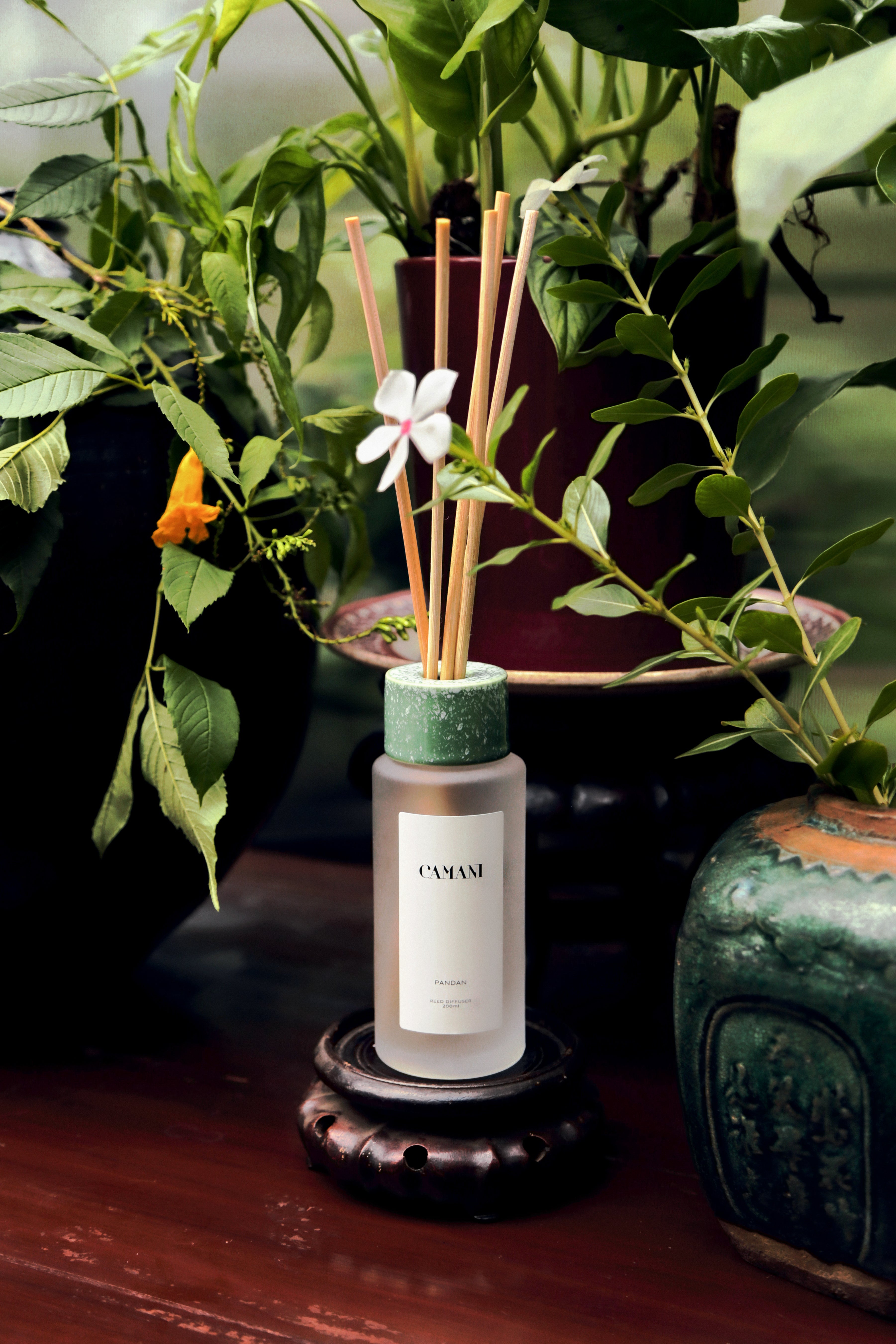 Pandan Reed Diffuser